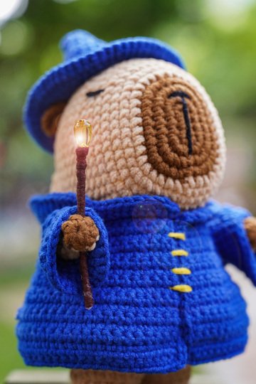 capybara wizard patten PDF