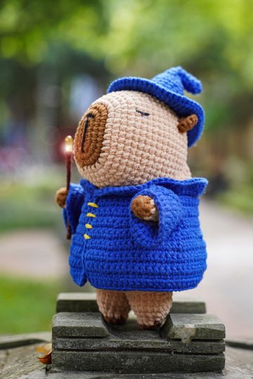 capybara wizard patten PDF