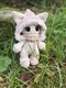 Slide 6 von 17