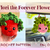 Flori – Cute Potted Flower Crochet Pattern