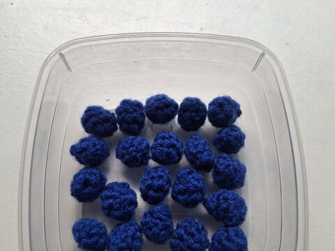 Blueberries