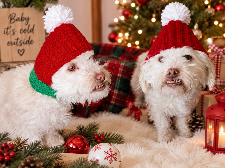 Pet Christmas Hat Crochet