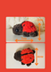 Slide 5 von 9