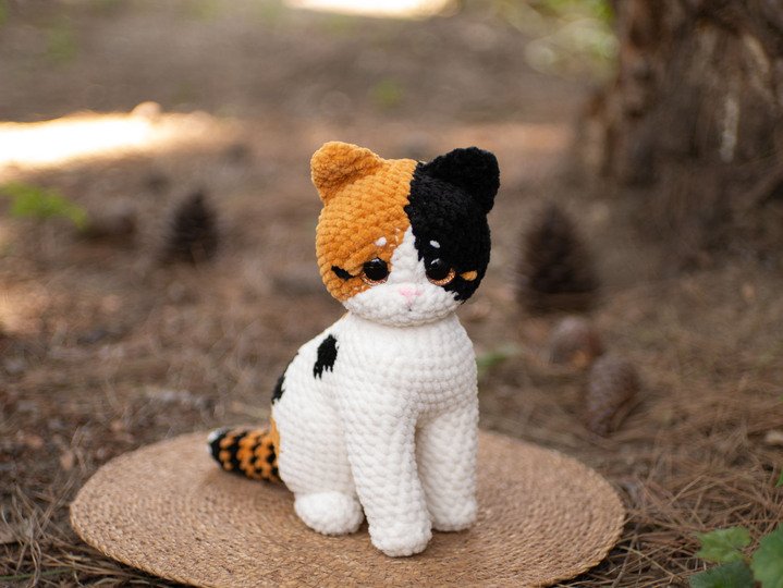 Calico kitten