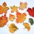 Häkelanleitung Herbstliche Blätter Set- Herbstdekoration
