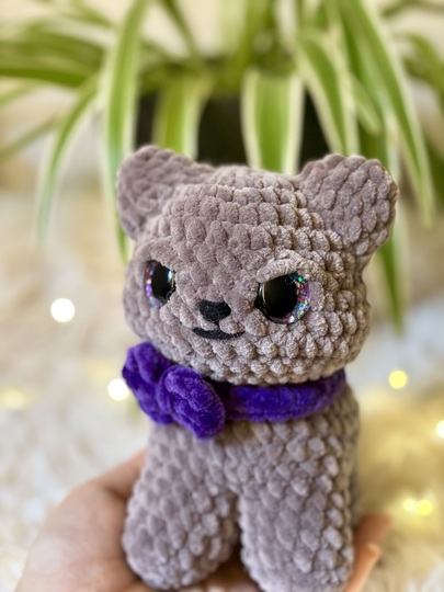 Uffy die Crumpy Cat