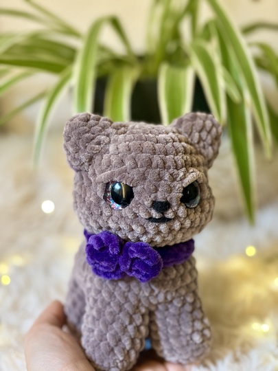 Uffy die Crumpy Cat