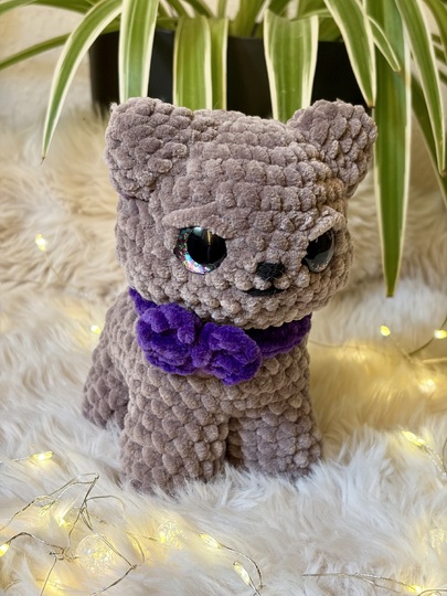 Uffy die Crumpy Cat