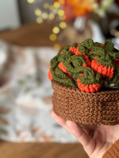 Crochet Pumpkin Coaster Pattern & Basket | Fall Home Decor | Digital PDF