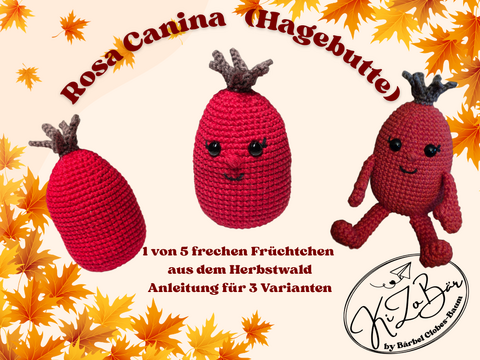 Rosa Canina (Hagebutte) - Freche Früchtchen aus dem Herbstwald
