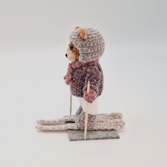 Ski-Bär