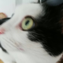 hanni_ernst_5 Avatar