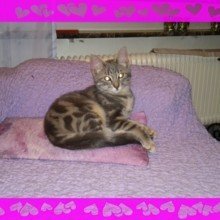 marlis_stettler Avatar