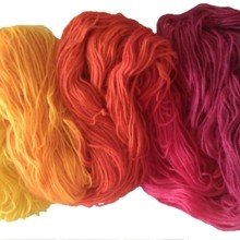 evasbuntergarten Avatar