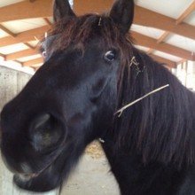 sonjafranziska Avatar