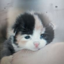 Judith_Weber_Wien Avatar