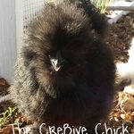 TheCre8iveChick