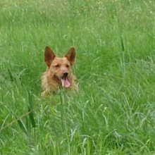 Nicole1978_Calbe Avatar