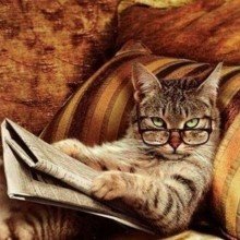 Casablanca210 Avatar