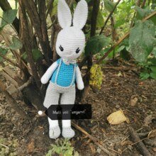 Mellivollumgarnt Avatar