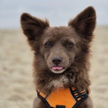 jenny_holland_378 Avatar