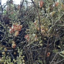 basteln-und-mehr Avatar