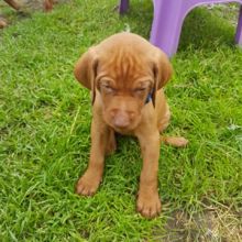 marion_mehner_75 Avatar