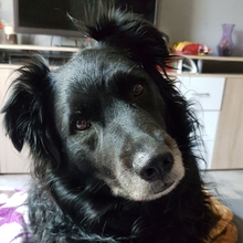 claudia_schleicherdt Avatar