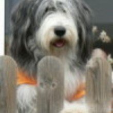 sabine_brumm_9 Avatar