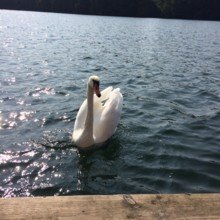 simone_rudolph_75 Avatar