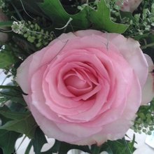 ferienwohnung Avatar