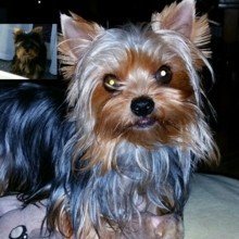 Jeannette23011982 Avatar