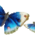 byLuJa