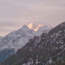 beasummermatter Avatar