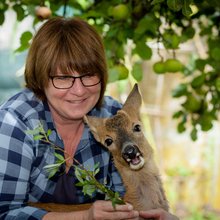 ChristlAumann Avatar