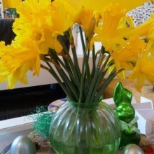 diemoosacherin Avatar