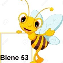 Biene53 Avatar