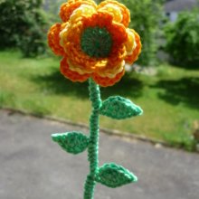 RingelblumeWallrabenstein Avatar