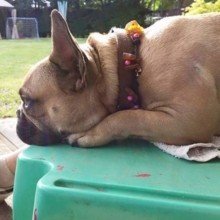 Nuckelchen19851 Avatar