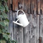 Shabbyhouseandgarden