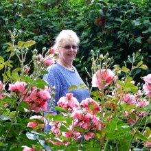 Hobbyfotograf Avatar