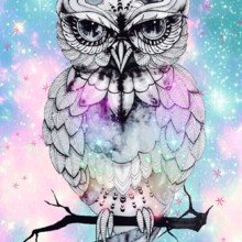 NachteuleHedwig Avatar