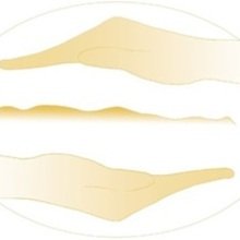 willkommenamweg Avatar