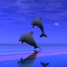 Boogiedancinforever Avatar