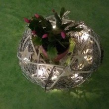 Sheila63 Avatar