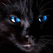 barbarella5659 Avatar