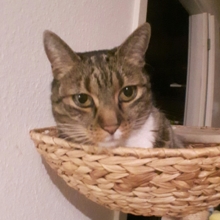 katrin-buettner Avatar