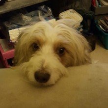 isabell-ullmann Avatar