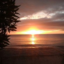 wilma-herkenhoener Avatar