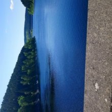 petra-goemann Avatar